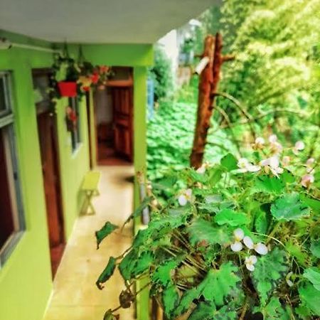 Silver Sun Official Darjeeling  Exterior photo