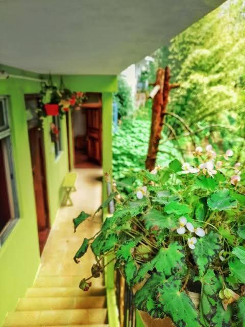 Silver Sun Official Darjeeling  Exterior photo
